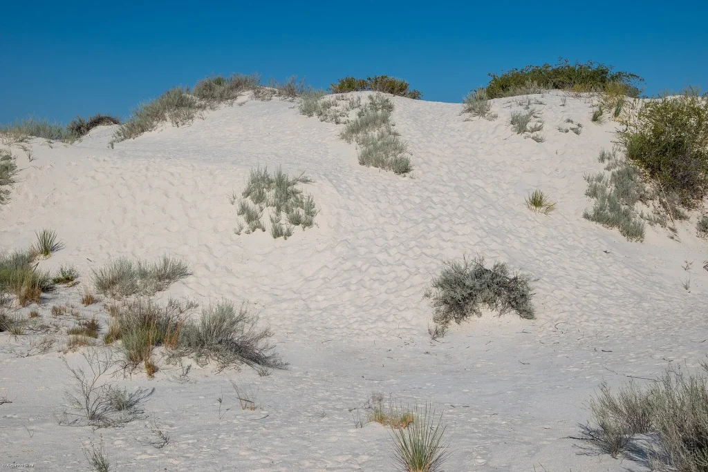 White Sands Discovery: First Americans Faced Weather Upheaval at the Ice Age’s Peak Bright white gypsum dunes rolling toward the horizon at White Sands New Mexico