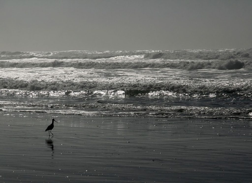 The Ocean’s Twilight Zone Holds Clues to the Climate Puzzle Grey ocean waves rolling under a moody sky